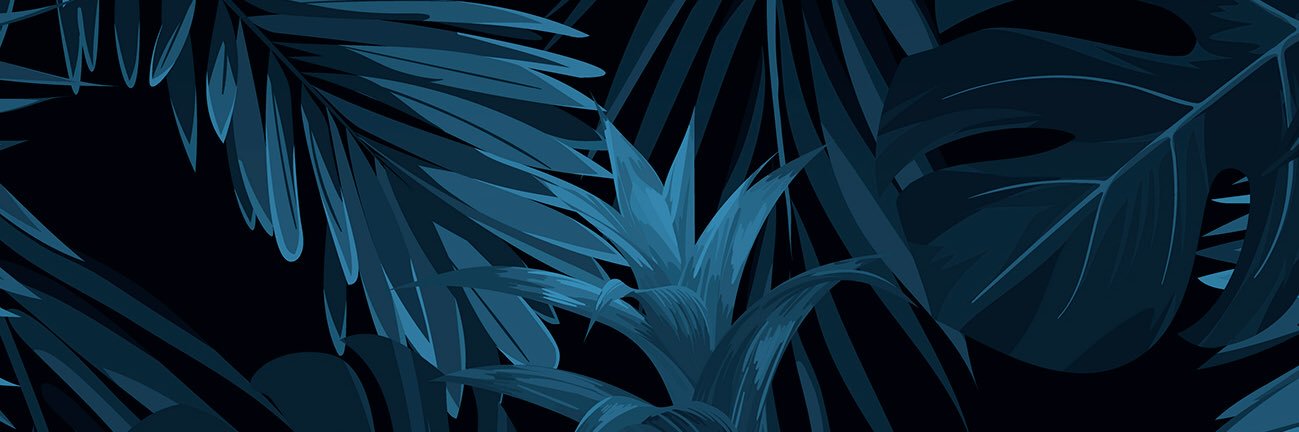DANYCUARA's profile banner image