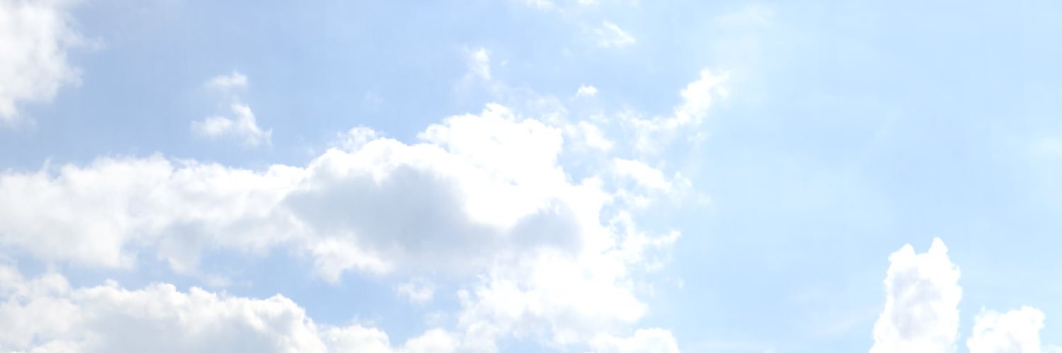 Anti-Chemtrail banner