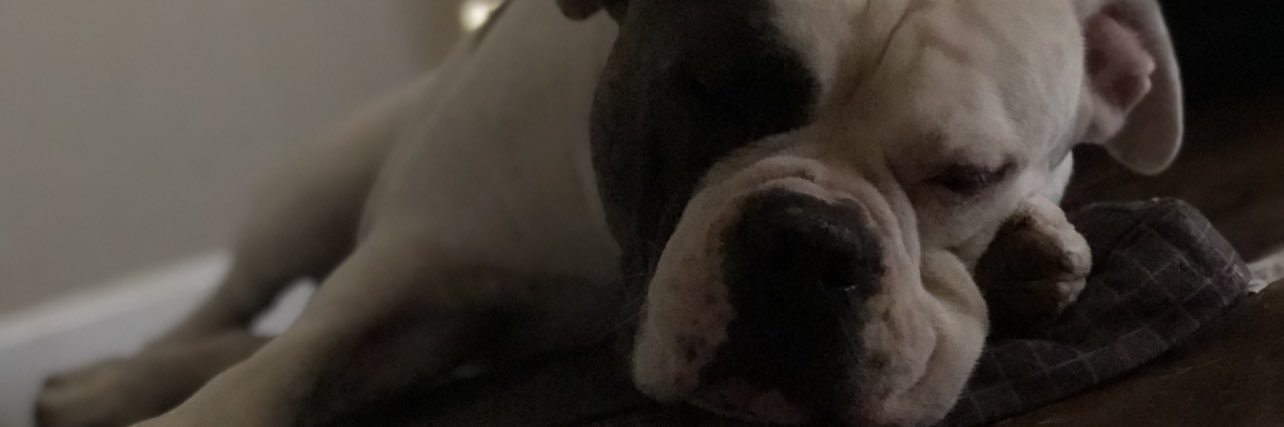 AlysseCazarez's profile banner image