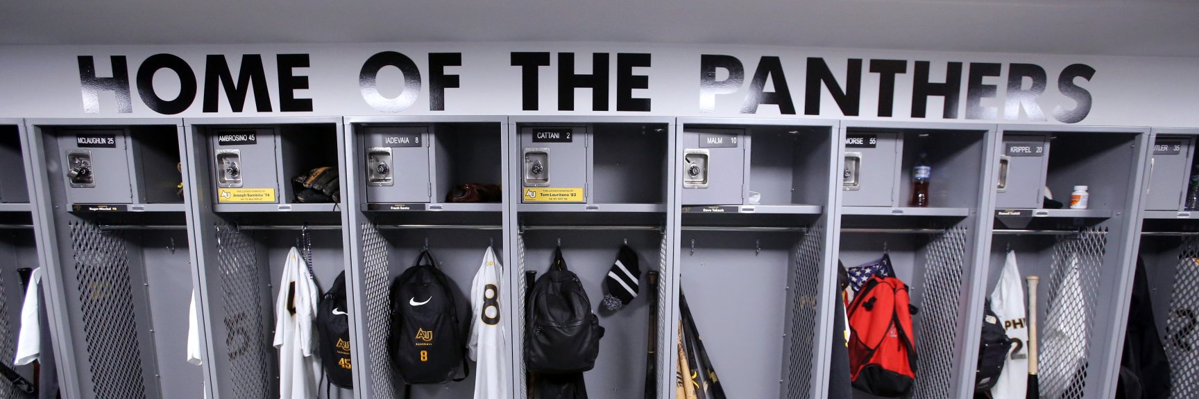 Adelphi Baseball's banner
