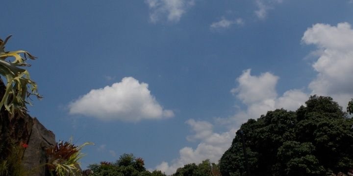 Novirosinta's profile banner image