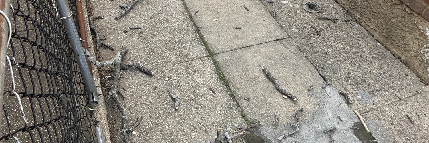 lunadusk73's profile banner image
