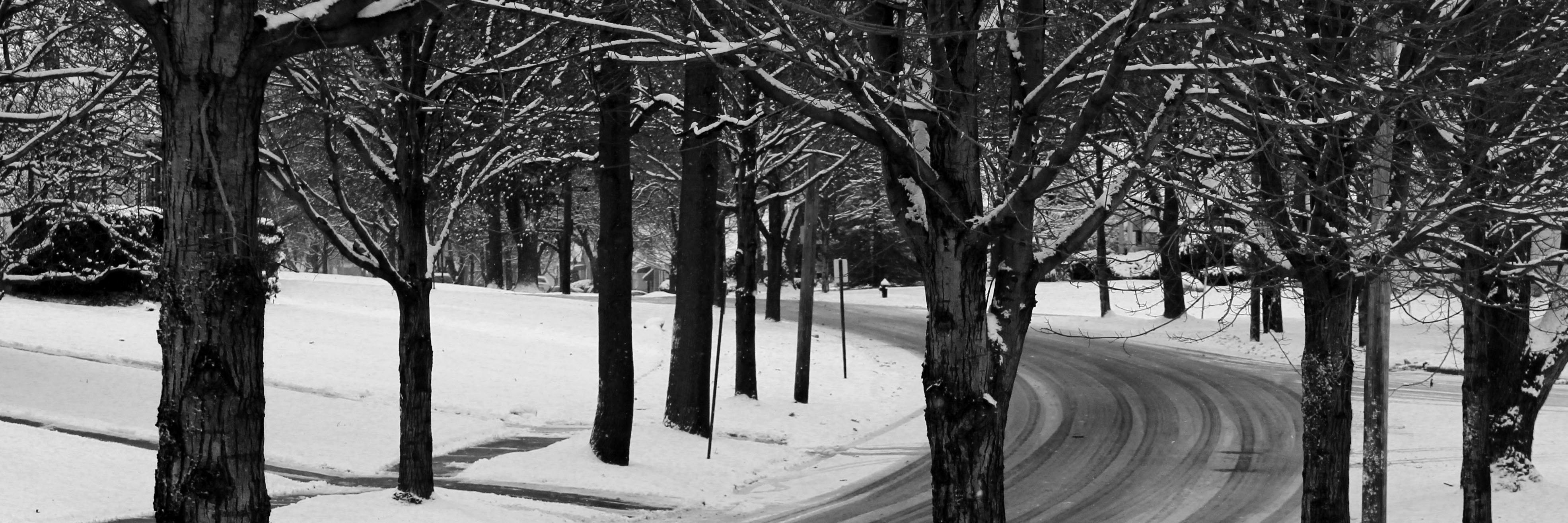 MapleHeightsNew's profile banner image