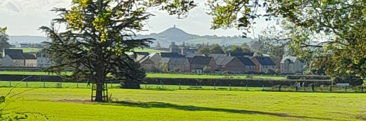 Scott Whitehouse banner