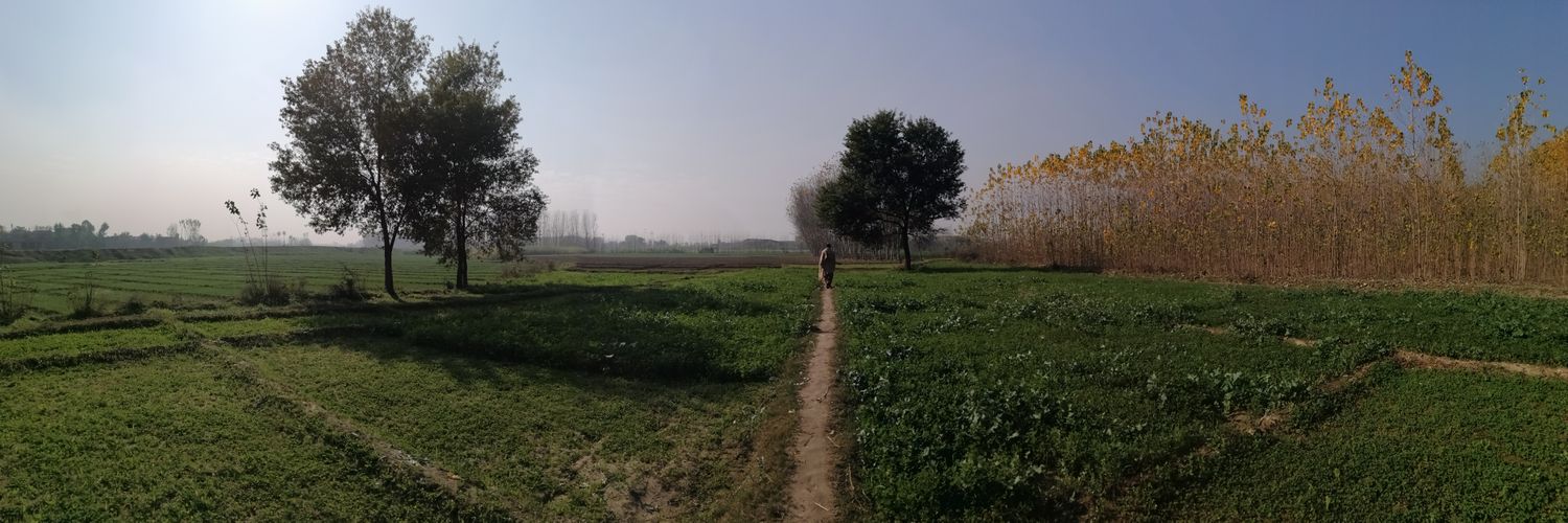 MSherdilkhan's profile banner image