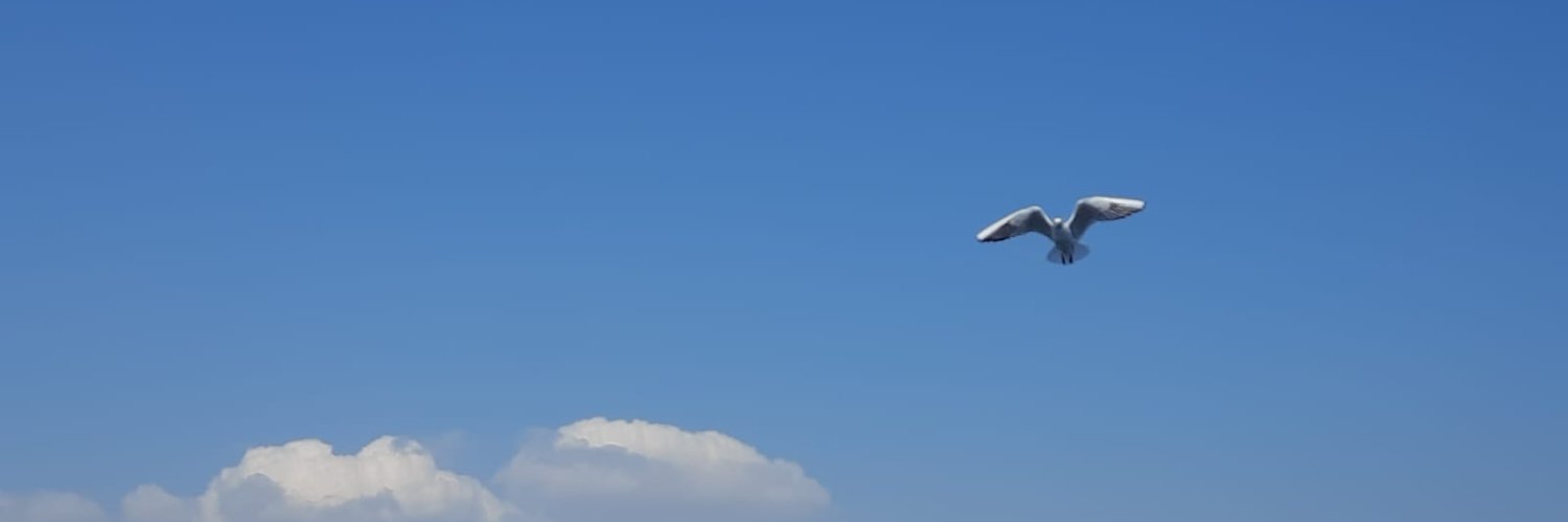 ferideserin34's profile banner image