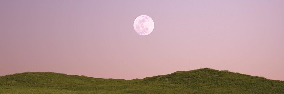 ezyvee's profile banner image