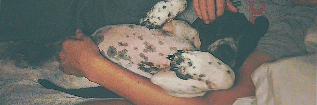 Madi_Marie_Roth's profile banner image