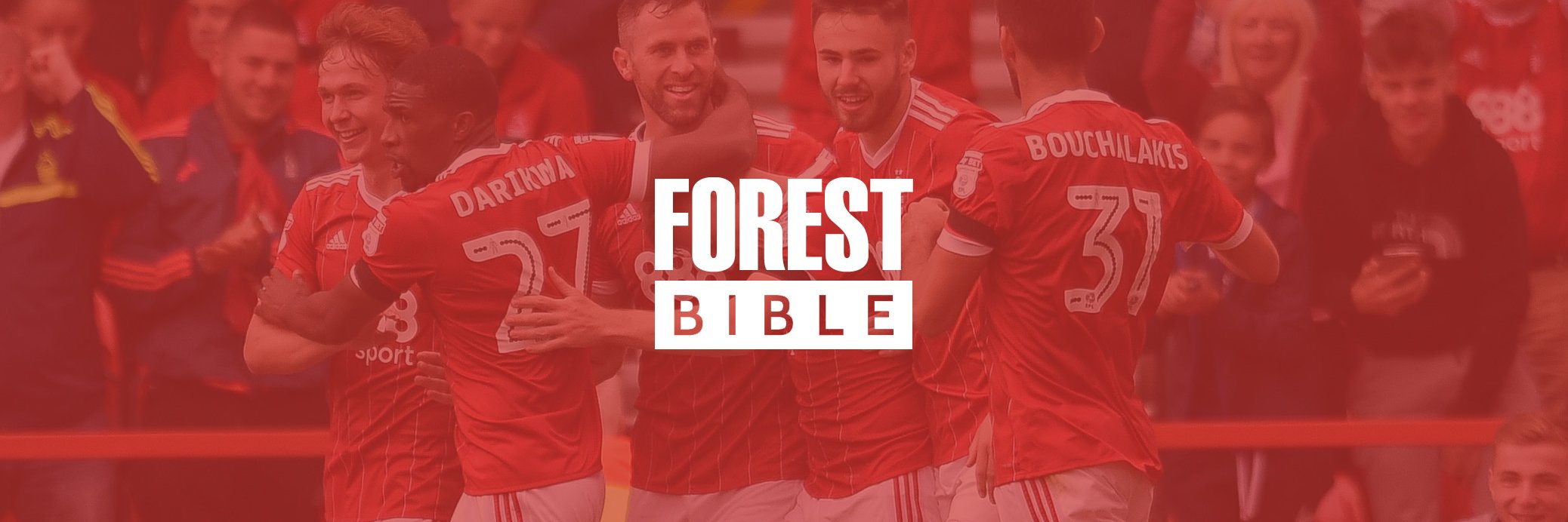 ForestBible's profile banner image