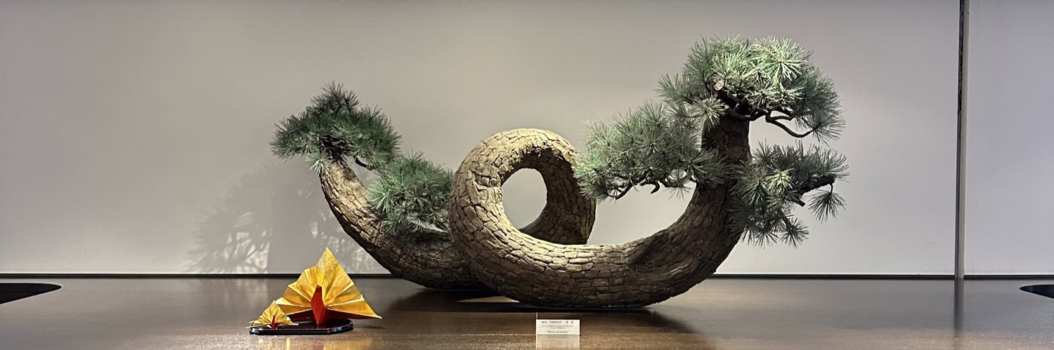 モッチピー banner