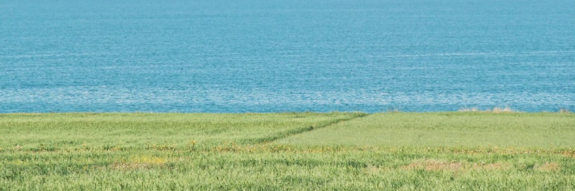 TOMOTA. banner