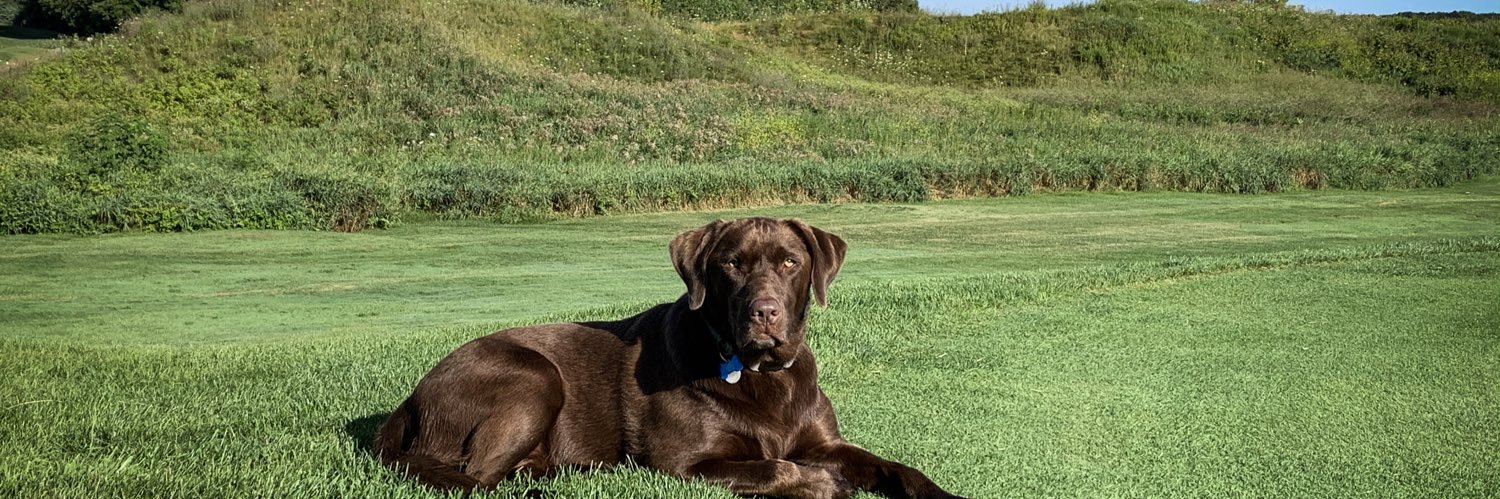rabemich's profile banner image