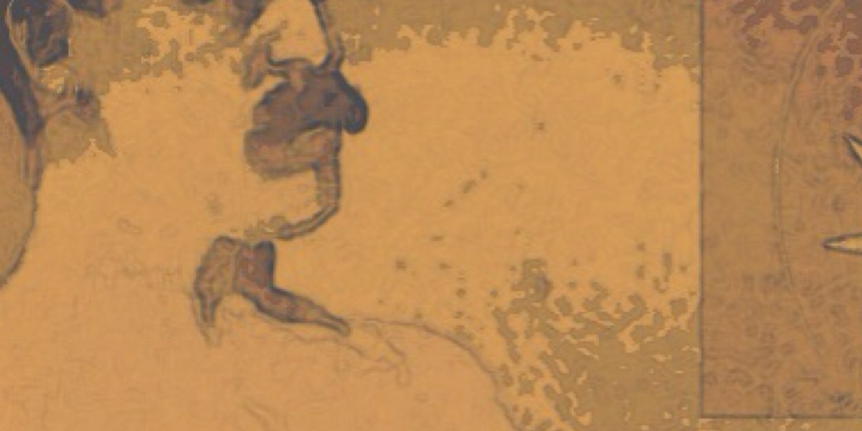 JulieLovesBeard's profile banner image