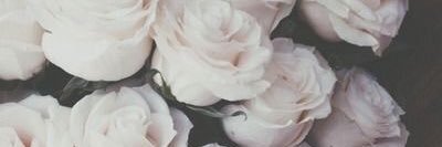 MimiMeg_26's profile banner image