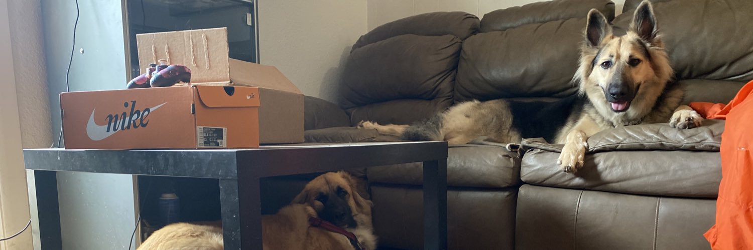 LoganMiller99's profile banner image