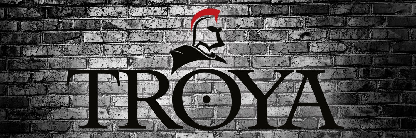 troyaokk's profile banner image