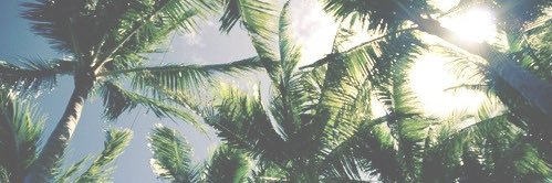 JessMyLuck4091's profile banner image