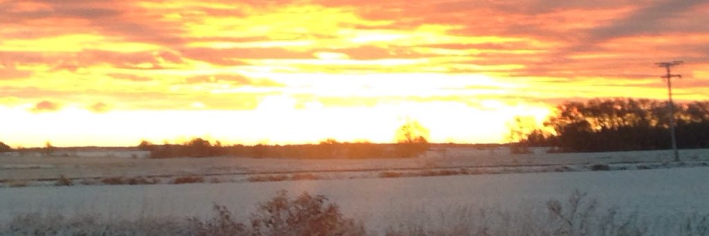 Drew Trafford banner