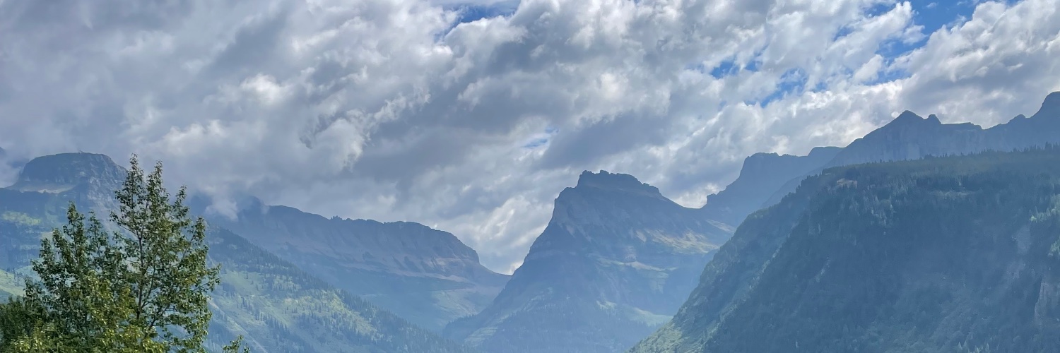 wendle13's profile banner image