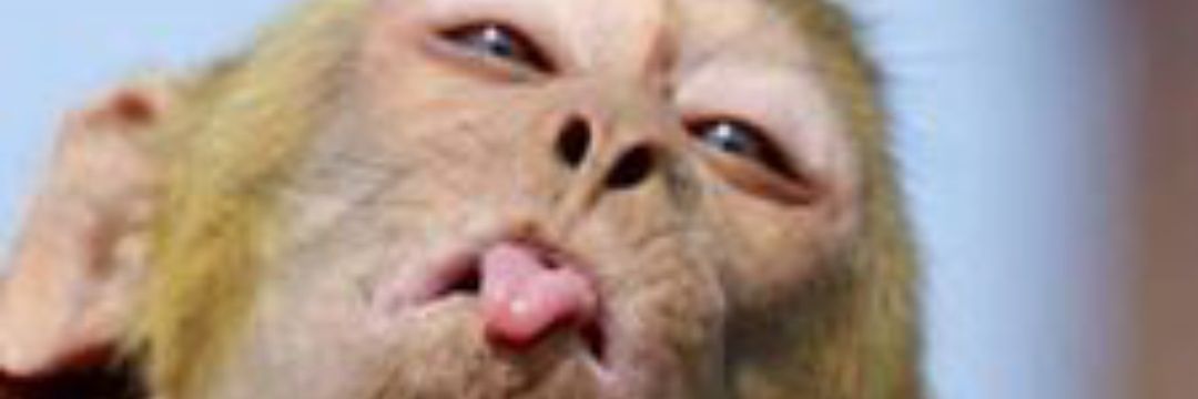danielramks's profile banner image