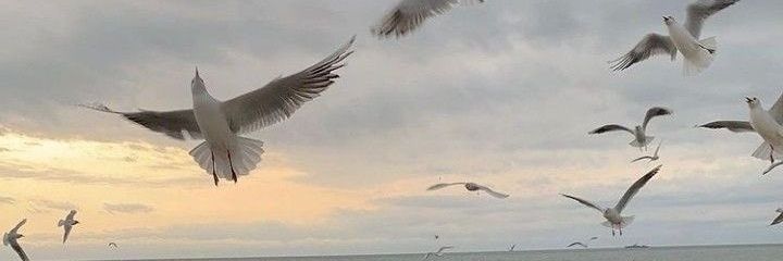 A__0Ss's profile banner image