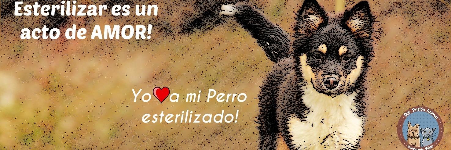 FunCon_pasion's profile banner image