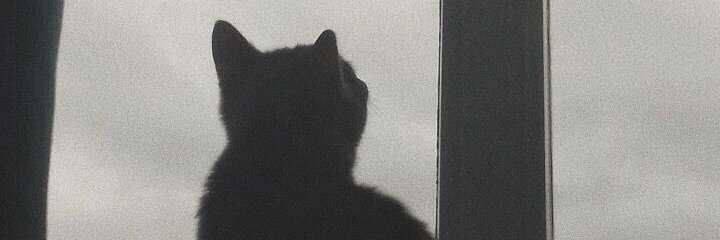 deviantias's profile banner image
