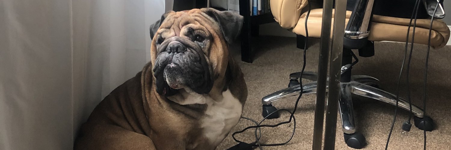 Alexa-rae 💗 banner