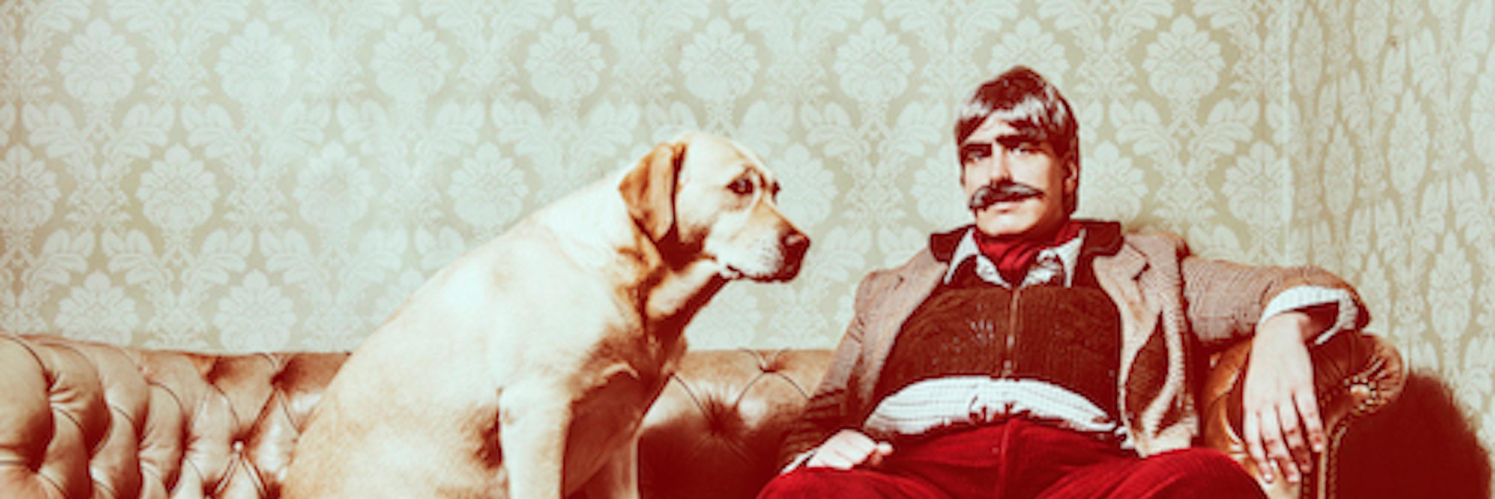 spelhamcomedy's profile banner image