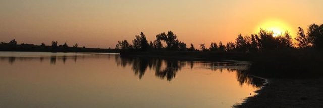 Logan Dorschner banner