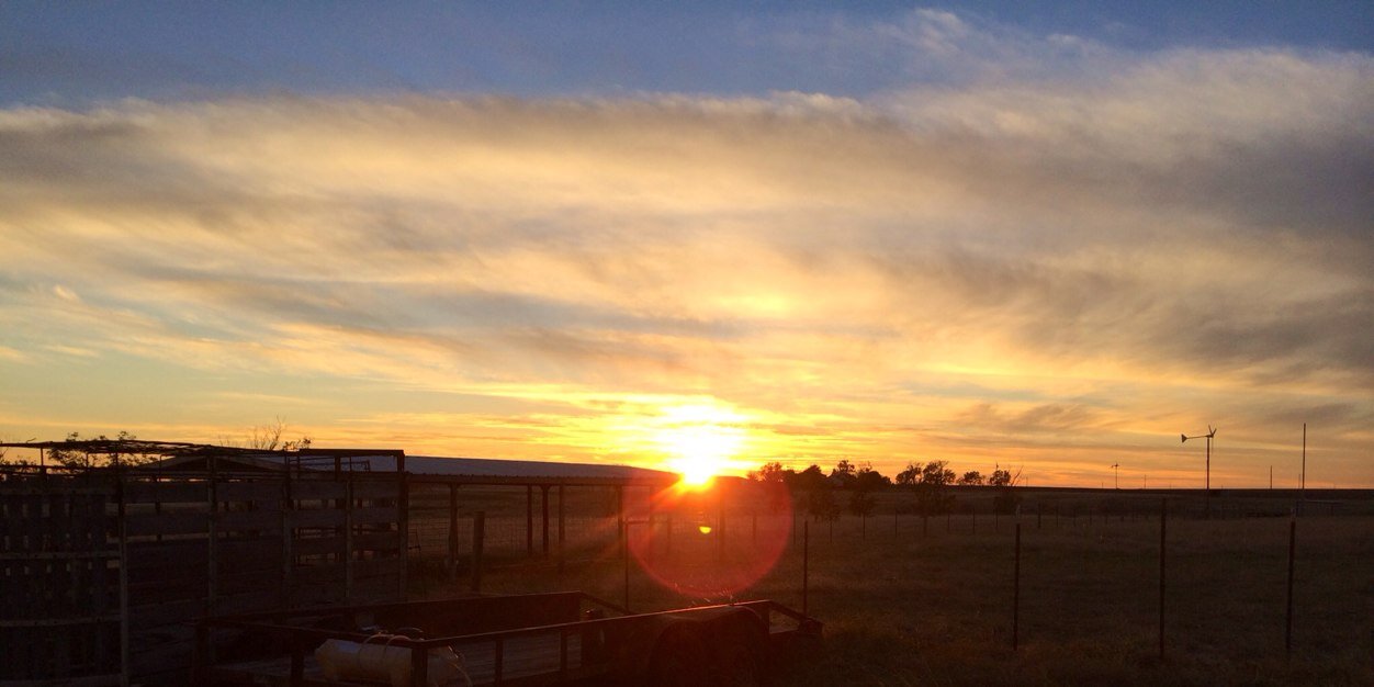 Jared Lantzsch banner