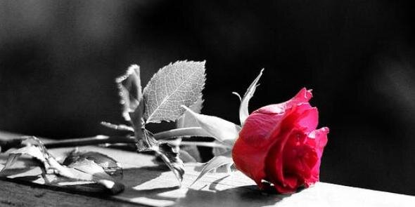 AlluringMind's profile banner image