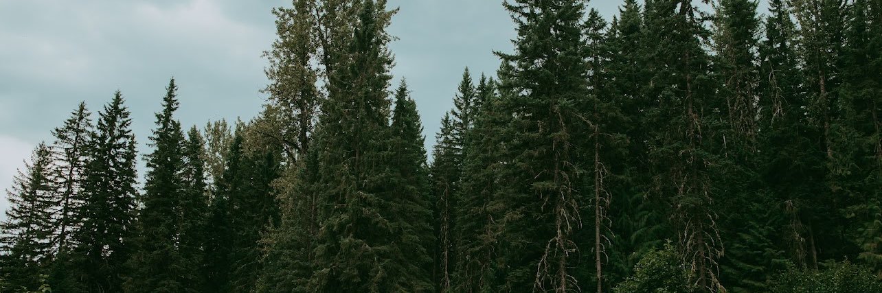 Beauds91's profile banner image