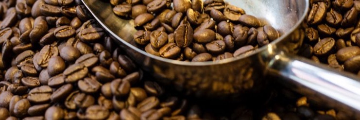 niko_kaffa's profile banner image