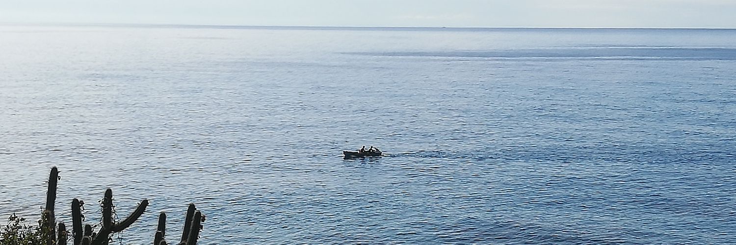 bammab64's profile banner image