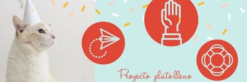 ProyectoPlatoLleno banner