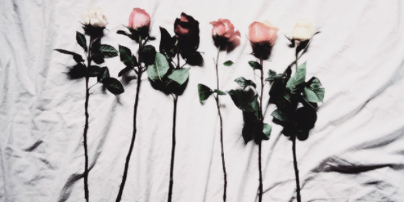 richardtncgdr's profile banner image
