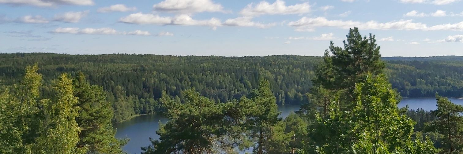 anninkujalla's profile banner image