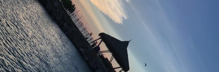 ariaco_'s profile banner image