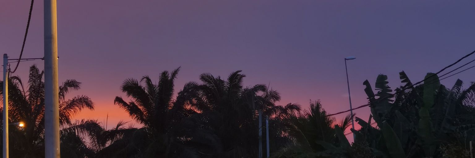tini banner
