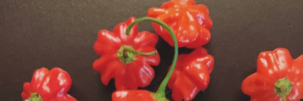 MartinJezerek's profile banner image