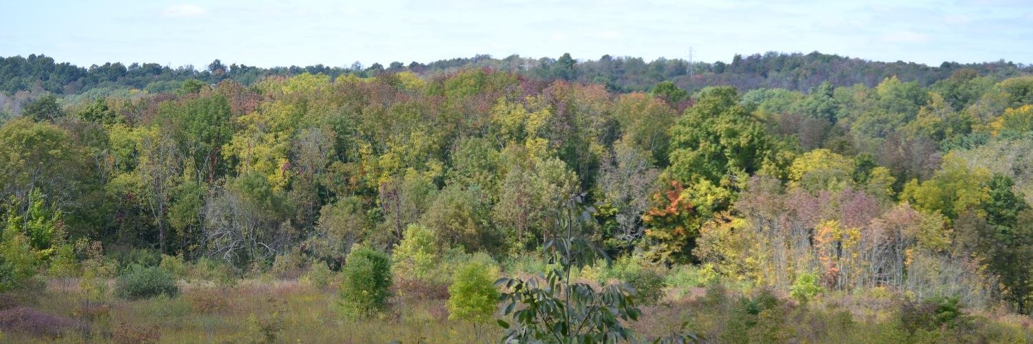 RCPDPARK's profile banner image