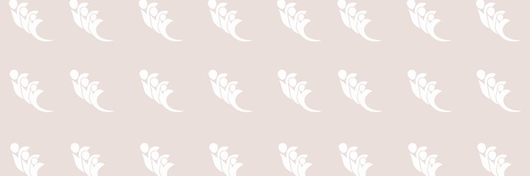 MSSA (Minnesota Social Service Association) banner