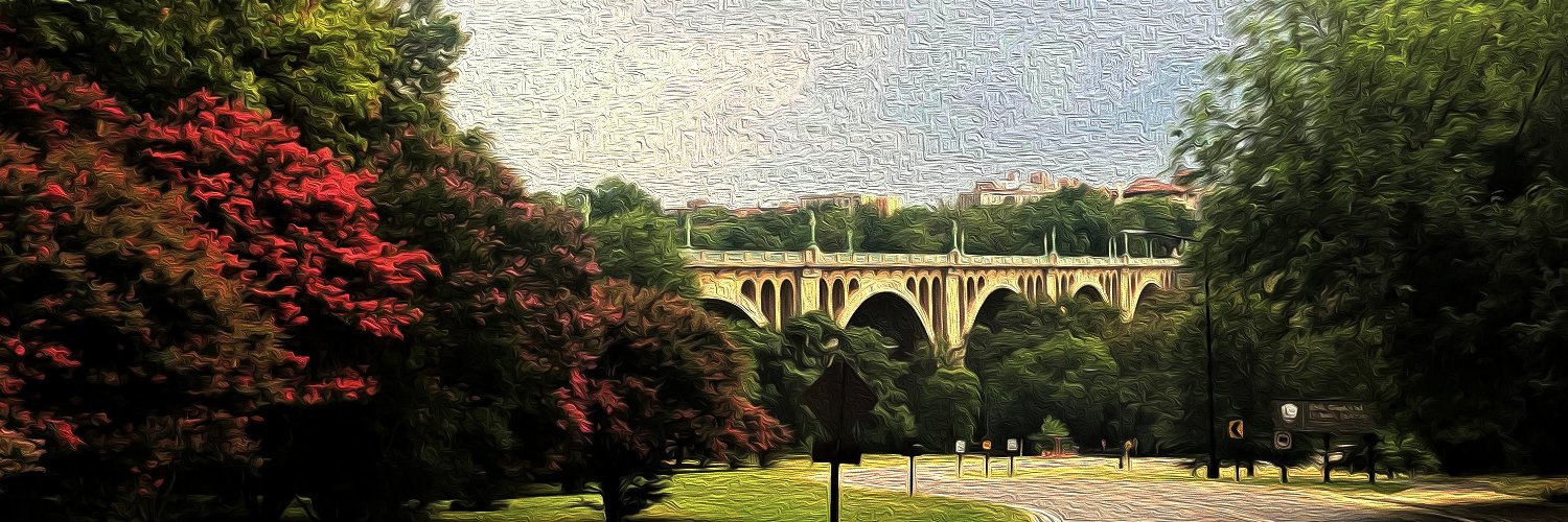 alexragone's profile banner image