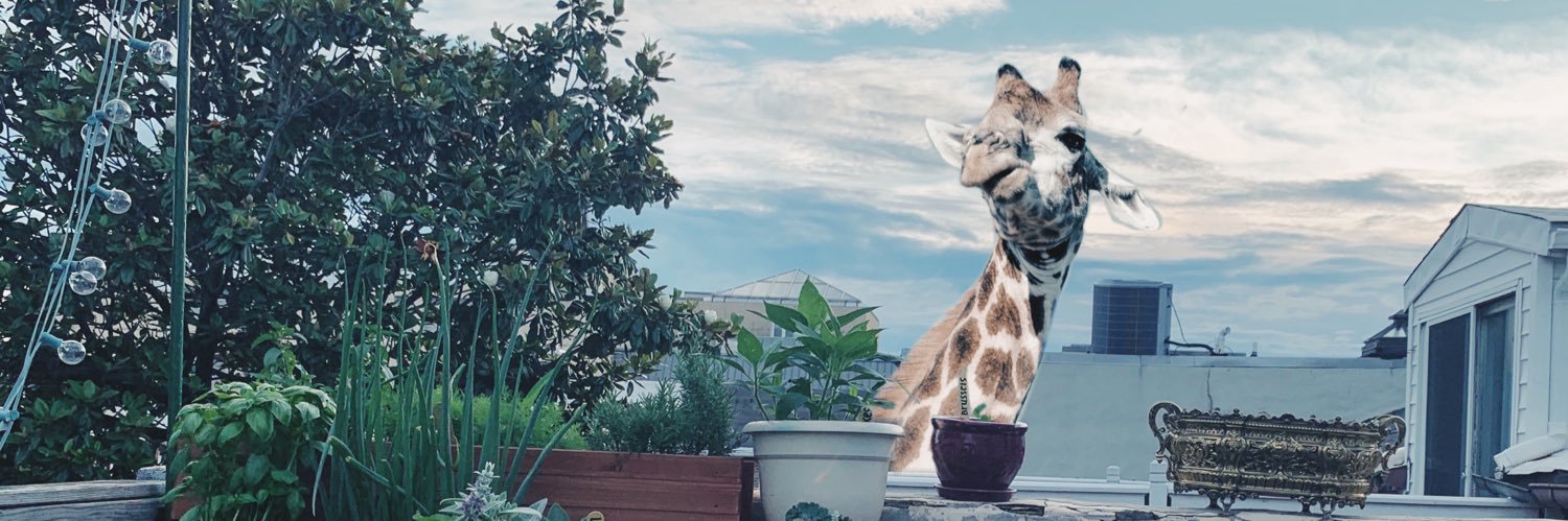 anaiscampbell1's profile banner image