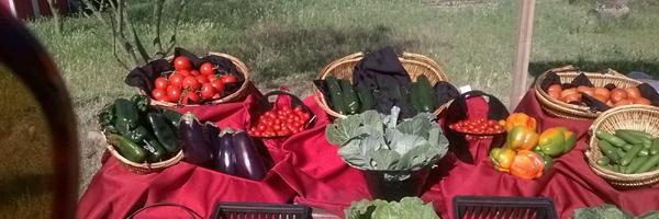 TigermountainFD Profile Banner