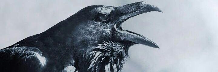 omer_isik01's profile banner image