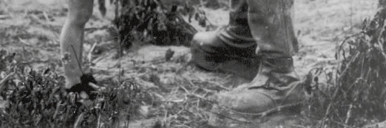 Proyecto FicTrans banner