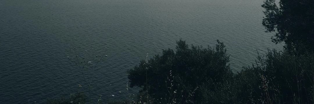 ipekasrn's profile banner image
