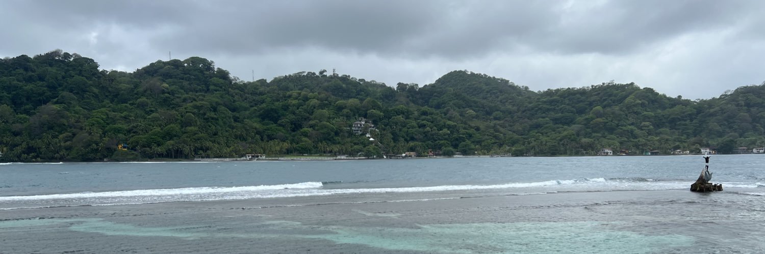 luisvimaracay's profile banner image
